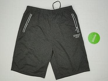 vistula dresy: Everest, Szorty dla mężczyzn, rozmiar 3XL — 2