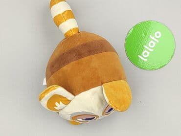 kombinezon softshell lidl: Maskotka stan - Idealny — 2