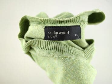 swetry męskie abercrombie amp: Cedar Wood State, Sweter dla mężczyzn, XL — 4