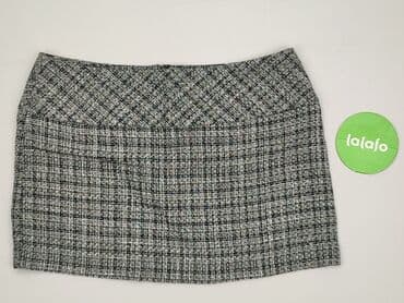 srebrne sukienki na imprezę: Women`s skirt, size 3XL (EU 46) — 2