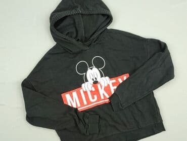 FB Sister, Women`s hoodie, size S (EU 36)
