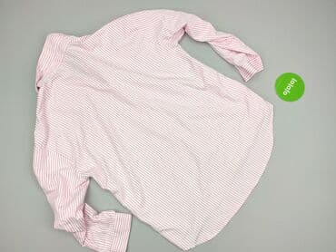 daniel david koszula: Koszula damska, rozmiar 3XL — 3