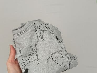 kurtka flek: Bluza, Little kids, 5-6 lat, 110-116 cm, stan - Idealny — 6