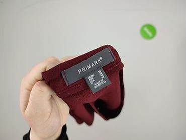 bluza polo bear: Primark, Bluzka damska, rozmiar 4XL — 4