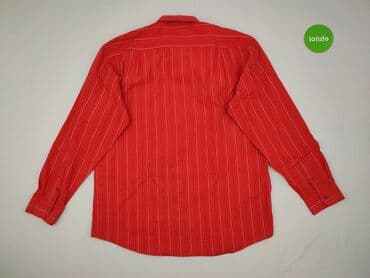t shirty 4xl allegro: Women`s shirt, size XL (EU 42) — 3