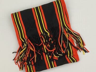 Accessories: Scarf, Male, condition - Very good — 1