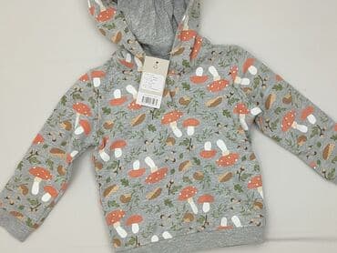 lidl tshirt: Bluza, Lupilu, 6-9 miesięcy, stan - Idealny — 1