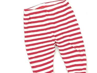 kurtka napapijri: Sweatpants, George, 6-9 months, condition - Very good — 1