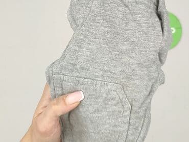 spodnie woskowane camel: Spodnie dresowe, H&M, 3-6 miesięcy, stan - Bardzo dobry — 4