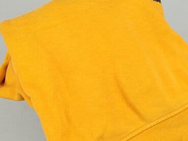 koszulka koszykarska z nadrukiem: Jordan, Bluza z kapturem dla mężczyzn, S — 6