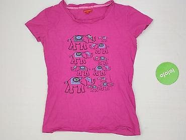 pitbul: T-shirt damski, rozmiar L — 2