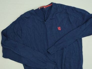 Swetry: Sweter, L, Express, stan - Idealny