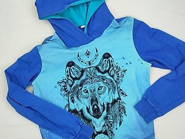 bluza dzik wk: Wolf, Bluza z kapturem damska, rozmiar M — 1