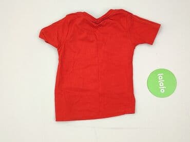 koszulka z gołębiem allegro: T-shirt, 3-4 years, 98-104 cm, condition - Perfect — 3
