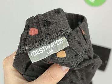 rajstopy wzorzyste allegro: Legginsy dziecięce, Destination, 14 lat, 158/164, stan - Idealny — 4