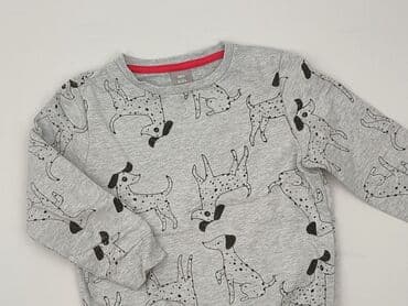 Sweatshirt, Little kids, 5-6 years, 110-116 cm, condition - Perfect