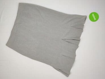 plisowane spódnice srebrne: Spódnica damska, rozmiar 4XL — 2