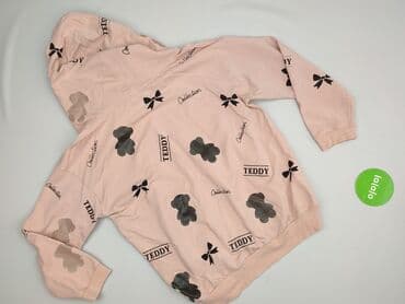 Sweatshirts and fleeces: Teddy, Women`s hoodie, size L — 3