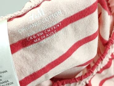 mohito spodnico spodnie: Shorts, H&M, 6-9 months, condition - Good — 5