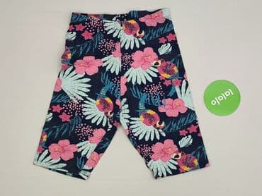 koszulka real madryt allegro: Shorts, Cool Club, 14 years, 164, condition - Perfect — 2