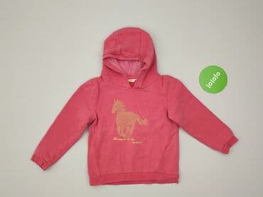 ile wazy bluza: Bluza, 5-6 lat, 110-116 cm, stan - Bardzo dobry — 2
