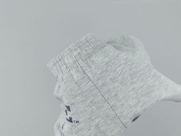 Women: Yale University Press, Shorts for women, size L (EU 40) — 5