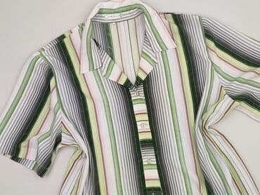 koszula daniel david: Koszula damska, rozmiar 6XL — 1