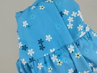 avocado sukienki: Sukienka damska, rozmiar M — 6