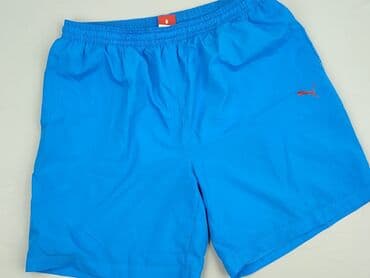 koszulki męskie cropp: Shorts for men, L (EU 40), Puma, condition - Very good — 1