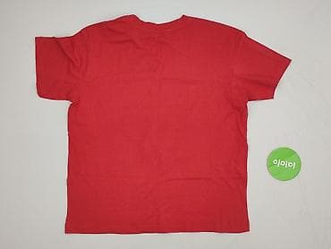 ciapy misie: Sinsay, T-shirt damski, rozmiar M — 3