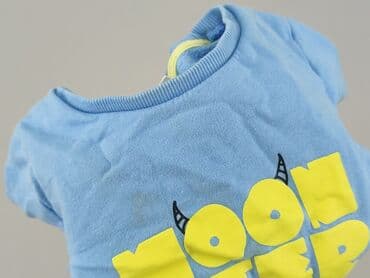 c and a bluza: Sweatshirt, So cute, 2-3 years, 92-98 cm, condition - Very good — 6