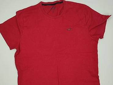 t shirt smog basic: Hollister, Koszulka dla mężczyzn, rozmiar XL — 1