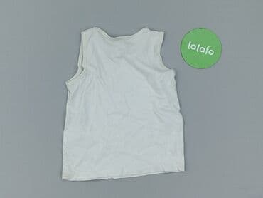 koszulka z dynia dla dziecka: A-shirt, Little kids, 2-3 years, 92-98 cm, condition - Very good — 3