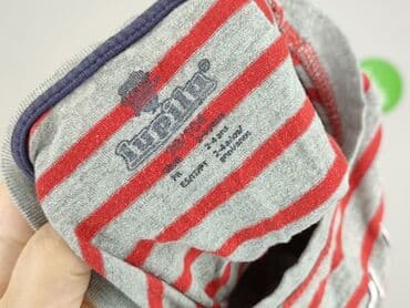 koszulka z dynia dla dziecka: Sweatshirt, Lupilu, 3-4 years, 98-104 cm, condition - Very good — 4
