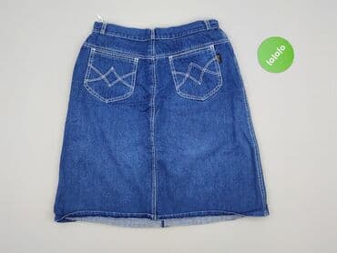 spódniczka jeansowe midi: Spódnica damska, rozmiar 2XL — 3