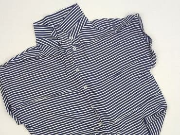 Bluzka damska, 2XL w lalafo.pl Bluzka damska, 2XL