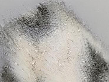 kurtka kiabi: Kamizelka damska, rozmiar XL — 6