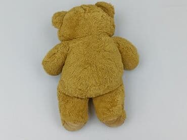 koszulka z mopsem: Mascot Teddy bear, condition - Very good — 3