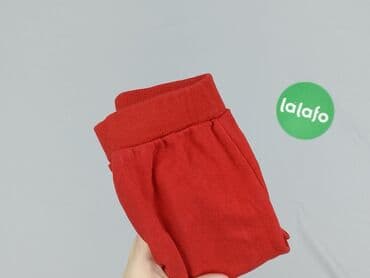 pajacyk z weluru: Sweatpants, 6-9 months, condition - Very good — 5