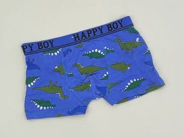 sukienka dla 6 latki: Panties, 2-3 years, condition - Very good — 1