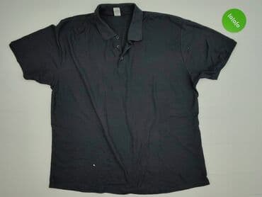 koszulka alice in chains: Koszulka polo dla mężczyzn, 3XL, Fruit Of The Loom, stan - Dobry — 2