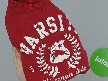 jedwabna kurtka dżokeja: Sweatshirt, Lindex, 1.5-2 years, 86-92 cm, condition - Very good — 5