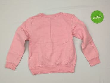 koszulka z labradorem: Sweatshirt, Little kids, 9 years, 128-134 cm, condition - Very good — 3