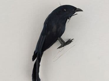 Home Decor: Figurine, condition - Perfect — 1