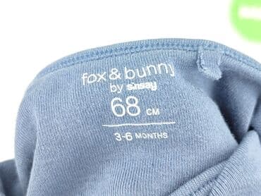 guess sukienki letnie: Body, Fox&Bunny, 3-6 months, 
condition - Very good — 4