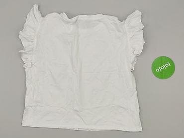 koszula 3xl: Zara, T-shirt damski, rozmiar L — 3
