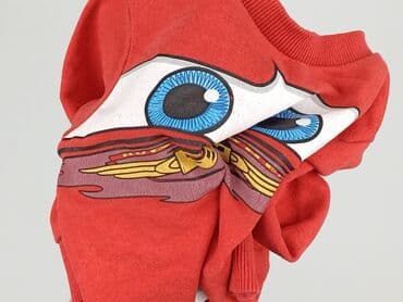 skarpety z twoim psem: Sweatshirt, Disney, 1.5-2 years, 86-92 cm, condition - Very good — 4