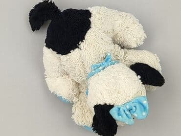 koszulka z mopsem: Mascot Dog, condition - Very good — 1
