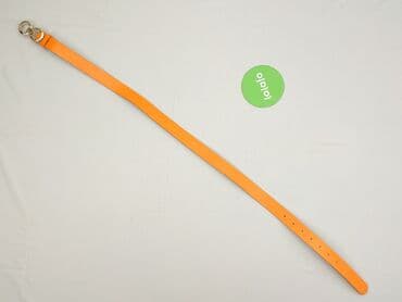 złote dodatki do zielonej sukienki: Pasek, Damskie, stan - Idealny — 2