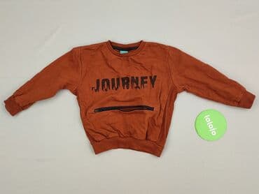 podkoszulki basic: Sweatshirt, Little kids, 3-4 years, 98-104 cm, condition - Very good — 2